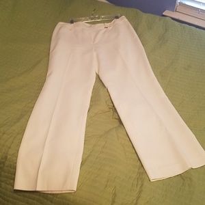 Ann Taylor Ivory Dress Pants